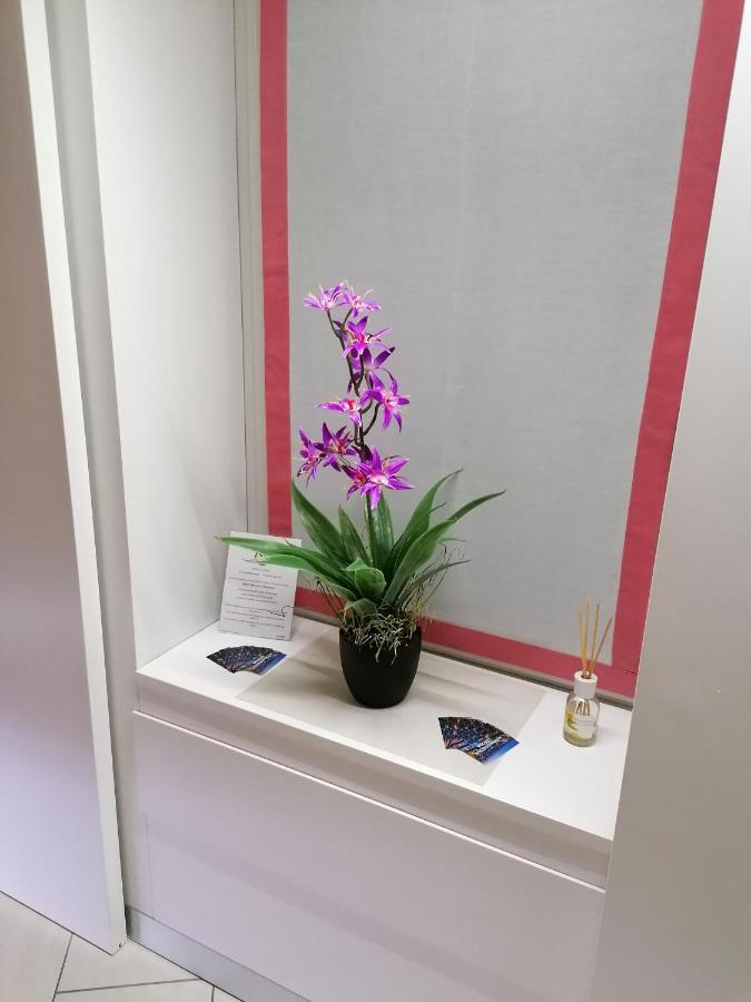 Accomodation Verona - City Centre 外观 照片